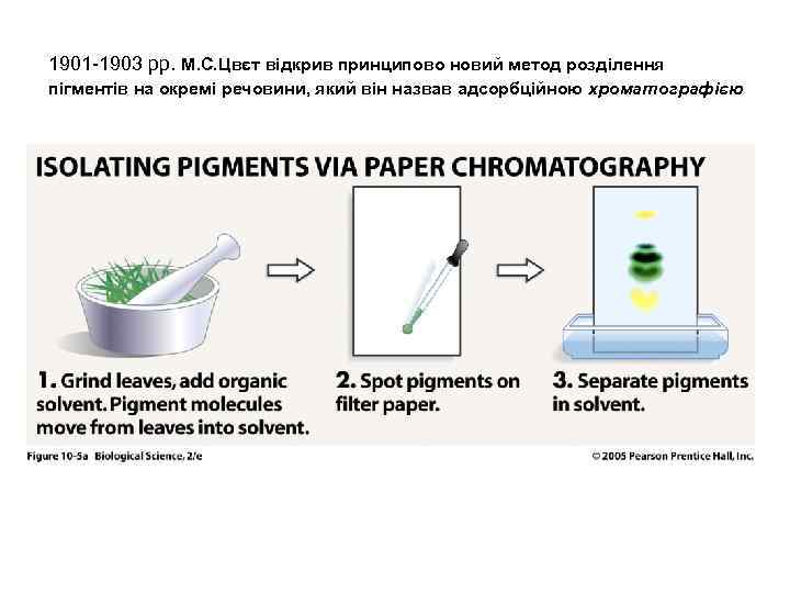 1901 1903 рр. М. С. Цвєт відкрив принципово новий метод розділення пігментів на окремі