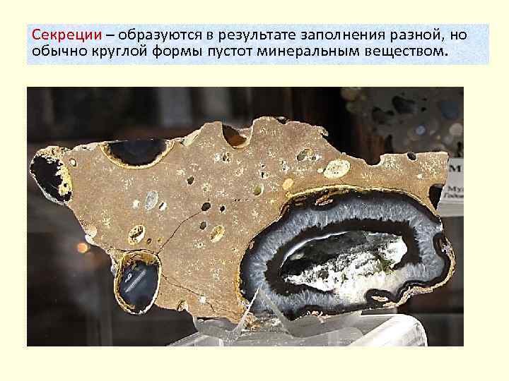 Секреции – образуются в результате заполнения разной, но обычно круглой формы пустот минеральным веществом.