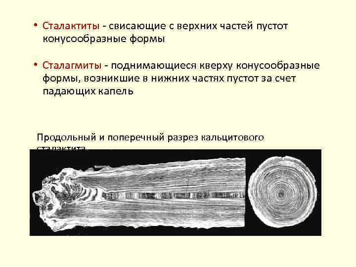  • Сталактиты свисающие с верхних частей пустот конусообразные формы • Сталагмиты поднимающиеся кверху