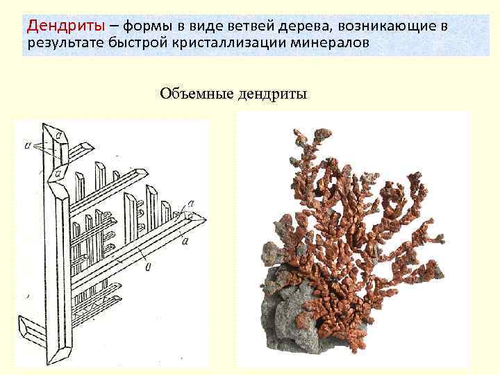 Дендриты – формы в виде ветвей дерева, возникающие в результате быстрой кристаллизации минералов Объемные