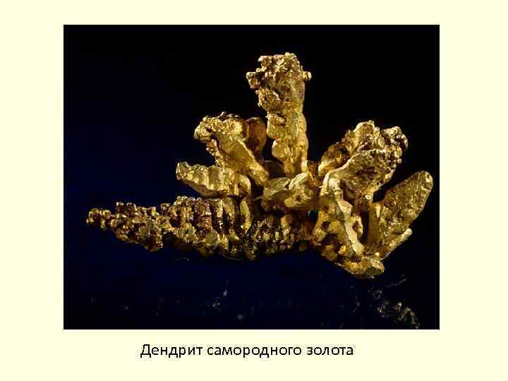 Дендрит самородного золота 