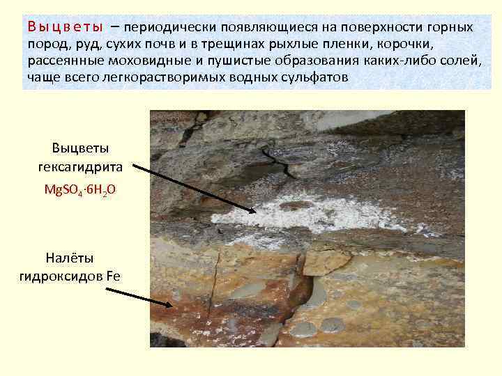 В ы ц в е т ы – периодически появляющиеся на поверхности горных пород,