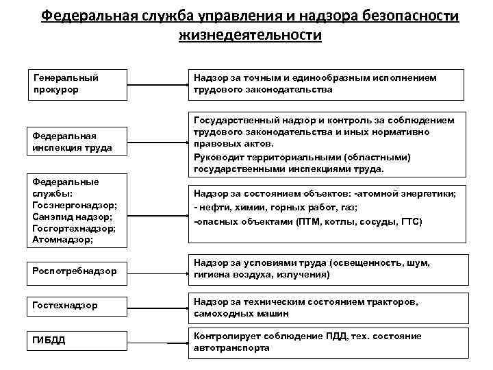 Федеральная служба управления и надзора безопасности жизнедеятельности Генеральный прокурор Надзор за точным и единообразным