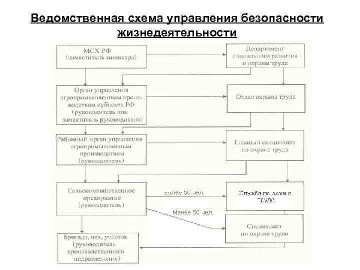 Ведомственная схема управления безопасности жизнедеятельности 