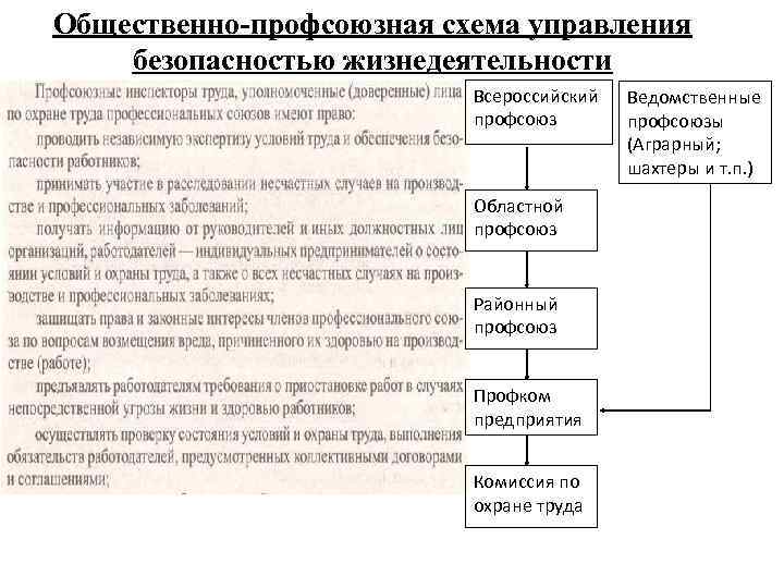 Общественно-профсоюзная схема управления безопасностью жизнедеятельности Всероссийский профсоюз Областной профсоюз Районный профсоюз Профком предприятия Комиссия