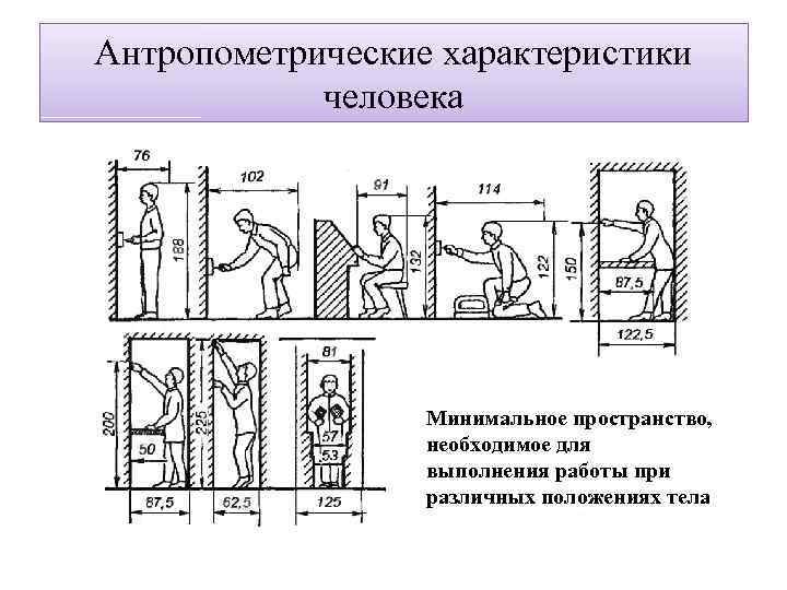 Антропометрические характеристики человека Минимальное пространство, необходимое для выполнения работы при различных положениях тела 