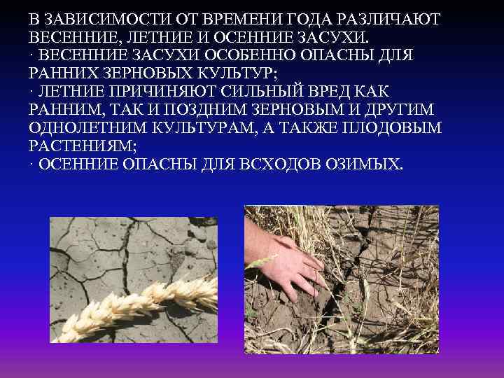 В ЗАВИСИМОСТИ ОТ ВРЕМЕНИ ГОДА РАЗЛИЧАЮТ ВЕСЕННИЕ, ЛЕТНИЕ И ОСЕННИЕ ЗАСУХИ. · ВЕСЕННИЕ ЗАСУХИ