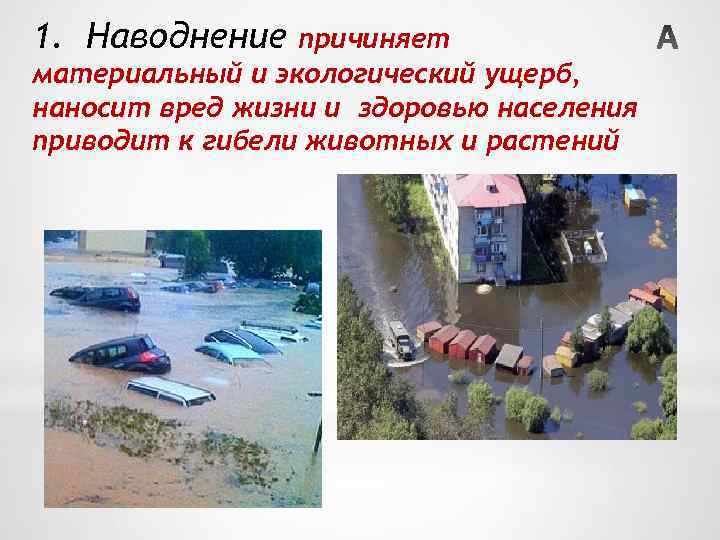 1. Наводнение причиняет материальный и экологический ущерб, наносит вред жизни и здоровью населения приводит
