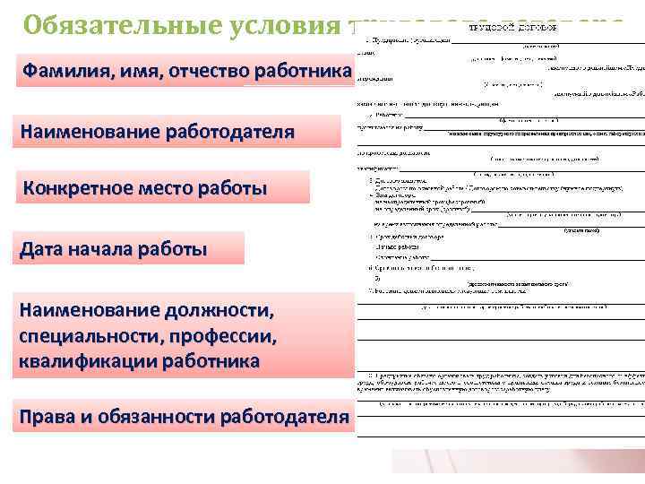 Обязательные условия трудового договора Фамилия, имя, отчество работника Наименование работодателя Конкретное место работы Дата