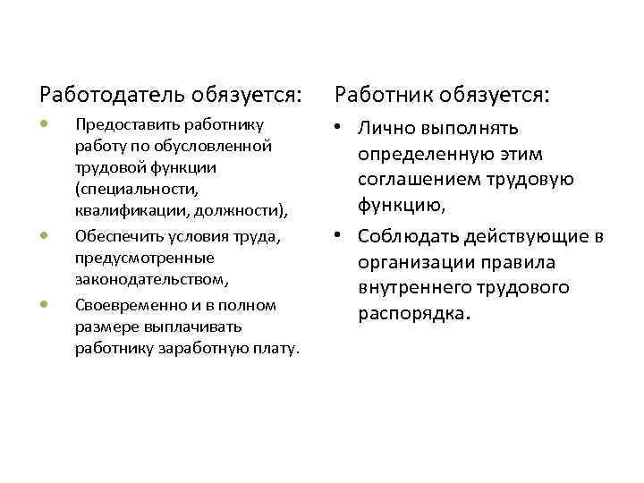 Работодатель обязуется: Предоставить работнику работу по обусловленной трудовой функции (специальности, квалификации, должности), Обеспечить условия