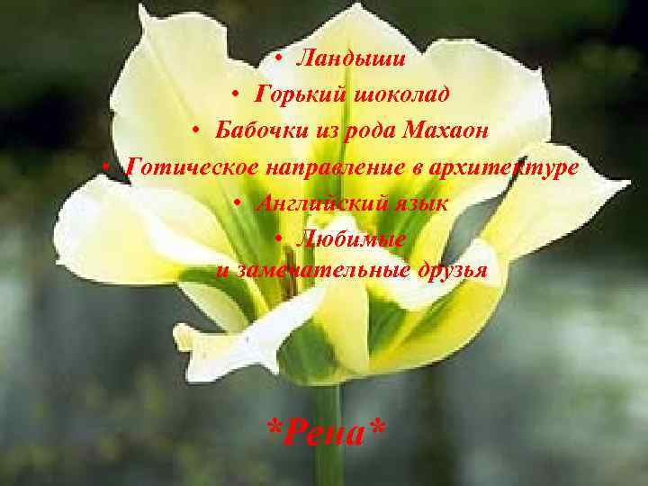  • Ландыши • Горький шоколад • Бабочки из рода Махаон • Готическое направление