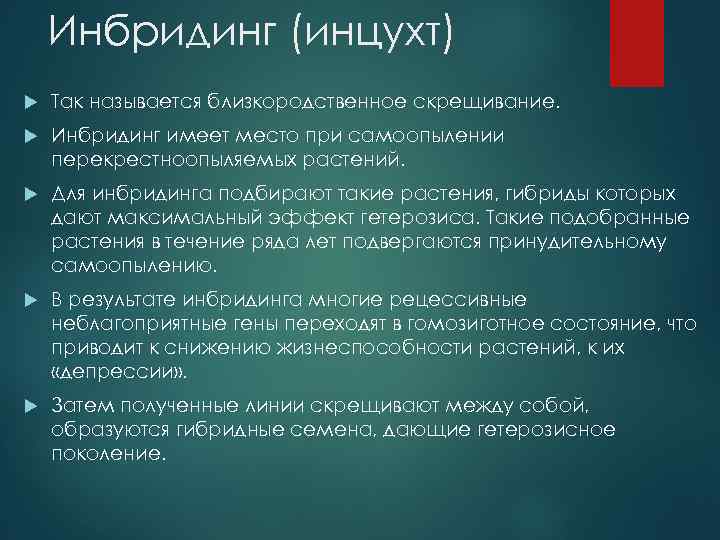 Получение чистых линий инбридингом. Инбридинг у людей. Инбридинг инцухт. Инбридинг у людей последствия. Инбридинг близкородственное скрещивание.