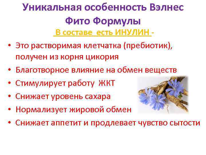 Уникальная особенность Вэлнес Фито Формулы • • • В составе есть ИНУЛИН - Это