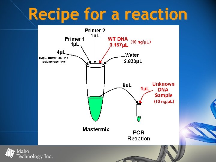 Recipe for a reaction 