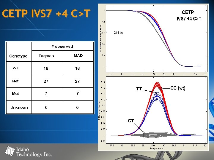 CETP IVS 7 +4 C>T 