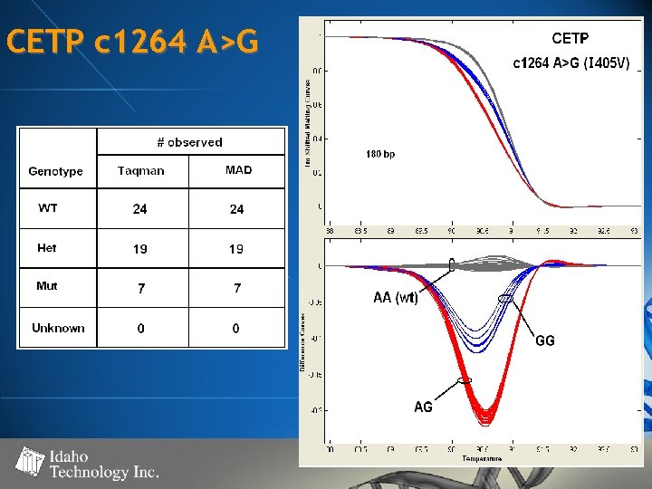 CETP c 1264 A>G 