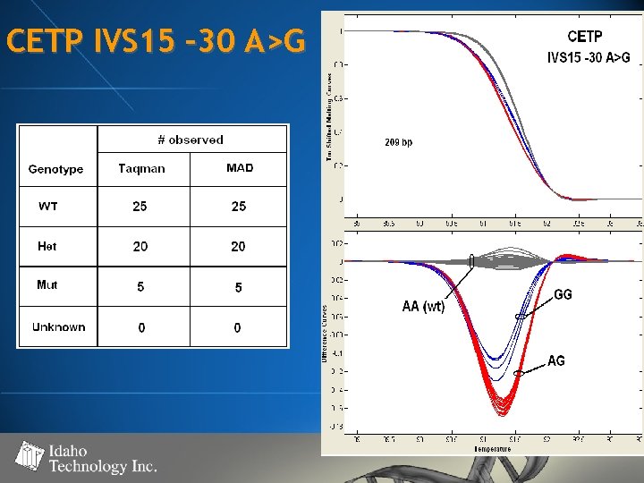 CETP IVS 15 – 30 A>G 