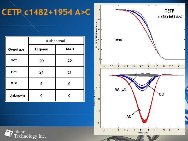 CETP c 1482+1954 A>C 