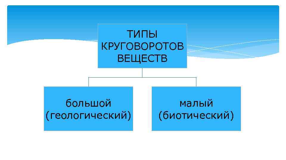 ТИПЫ КРУГОВОРОТОВ ВЕЩЕСТВ большой (геологический) малый (биотический) 