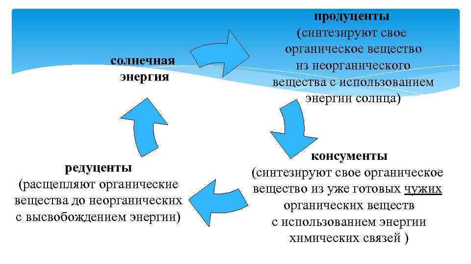 солнечная энергия редуценты (расщепляют органические вещества до неорганических с высвобождением энергии) продуценты (синтезируют свое