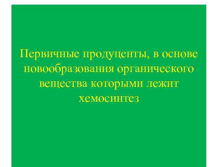 Первичные продуценты, в основе новообразования органического вещества которыми лежит хемосинтез 