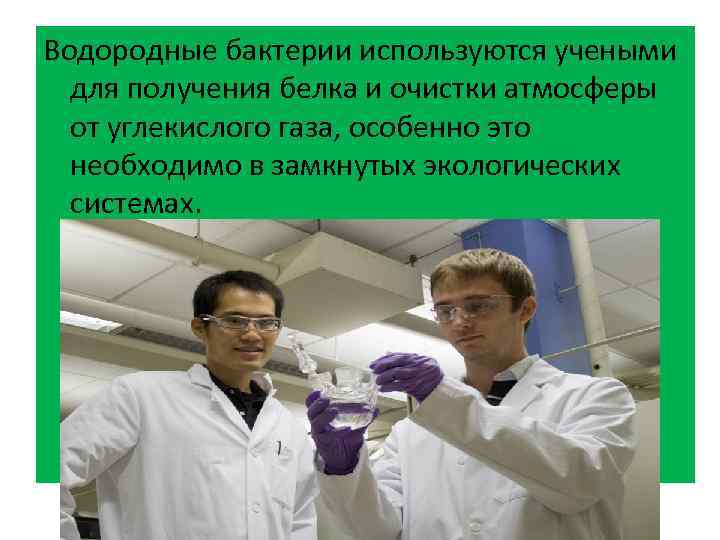 Водородные бактерии используются учеными для получения белка и очистки атмосферы от углекислого газа, особенно