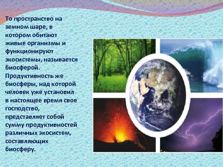 То пространство на земном шаре, в котором обитают живые организмы и функционируют экосистемы, называется