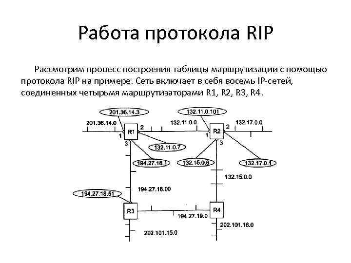 Опишите схему работы протокола rip