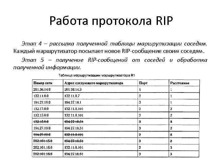 Опишите схему работы протокола rip