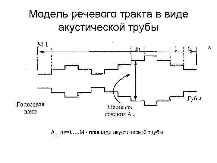 Модель речевого тракта в виде акустической трубы x Аm , m=0, …, M -