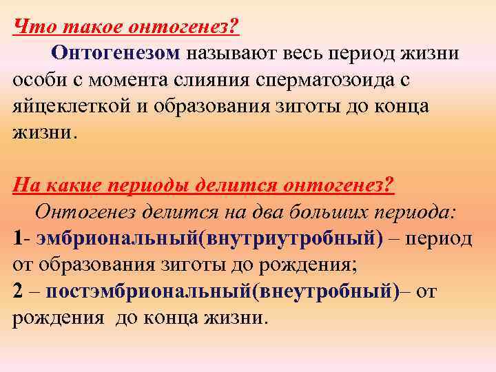 Что такое онтогенез? Онтогенезом называют весь период жизни особи с момента слияния сперматозоида с