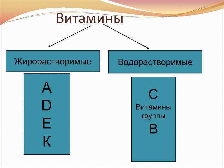 Витамины Жирорастворимые А D Е К Водорастворимые С Витамины группы В 