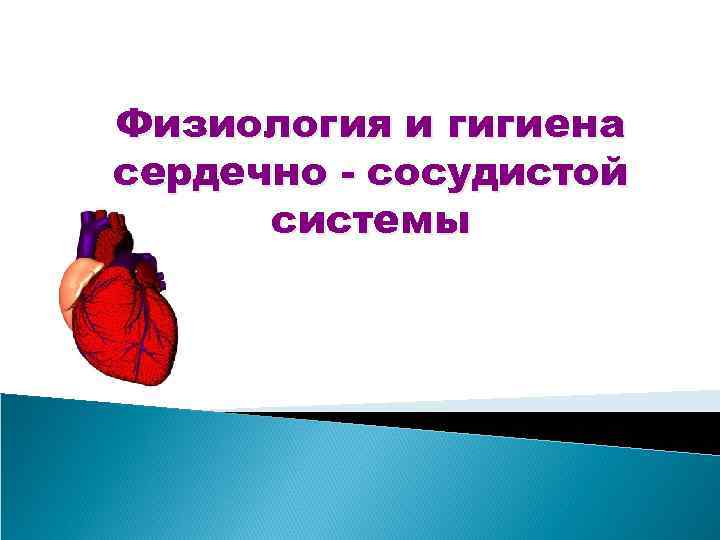 Гигиена сердечно сосудистой системы. Гигиена кровеносной системы. Гигиена сердечно сосудистой системы у детей. Физиология сердечно-сосудистой системы презентация.