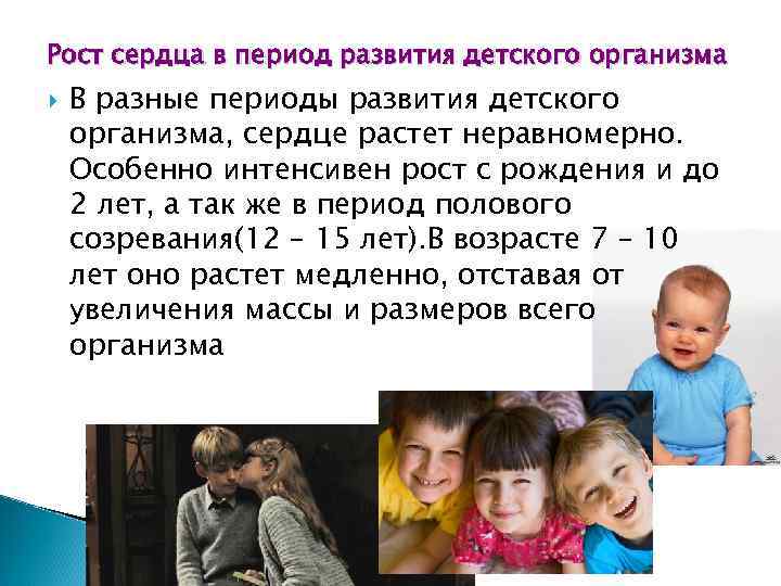 Рост сердца в период развития детского организма В разные периоды развития детского организма, сердце