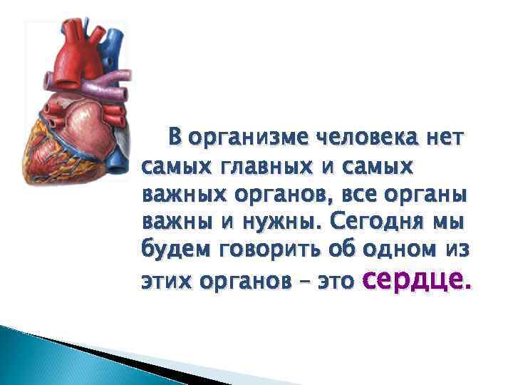 В организме человека нет самых главных и самых важных органов, все органы важны и