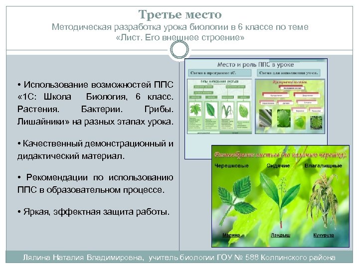 Разработка урока простейшие. Методическая разработка урока по биологии. Третье место по методическим материалам.