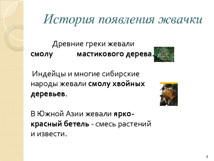 История появления жвачки Древние греки жевали смолу мастикового дерева. Индейцы и многие сибирские народы