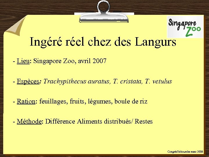 Ingéré réel chez des Langurs - Lieu: Singapore Zoo, avril 2007 - Espèces: Trachypithecus