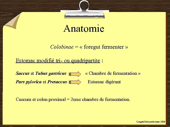 Anatomie Colobinae = « foregut fermenter » Estomac modifié tri- ou quadripartite : Saccus