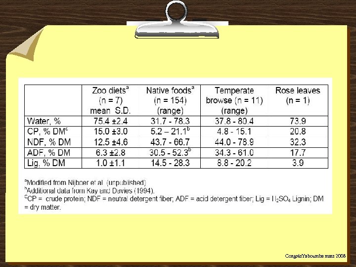 Congrès. Yaboumba mars 2008 