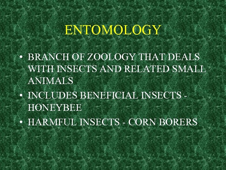 ENTOMOLOGY • BRANCH OF ZOOLOGY THAT DEALS WITH INSECTS AND RELATED SMALL ANIMALS •