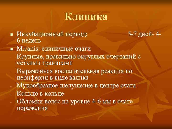 Клиника n n - Инкубационный период: 5 -7 дней- 46 недель M. canis: единичные