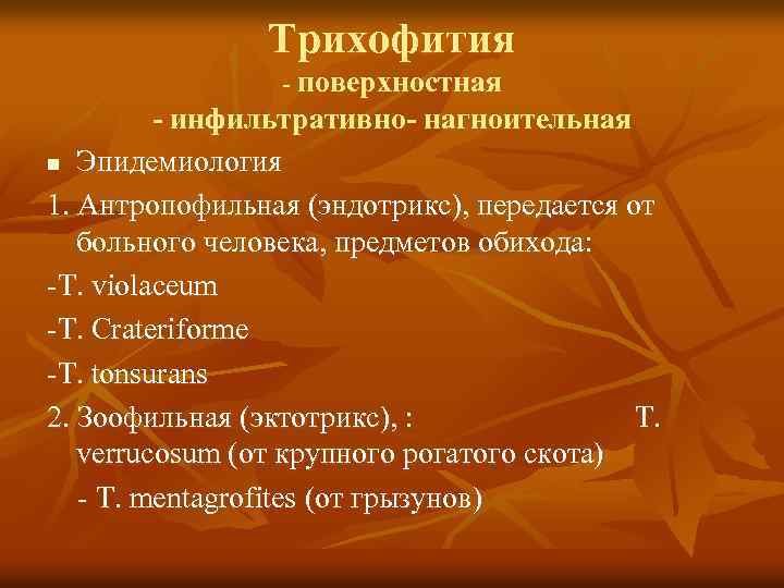 Трихофития - поверхностная - инфильтративно- нагноительная n Эпидемиология 1. Антропофильная (эндотрикс), передается от больного