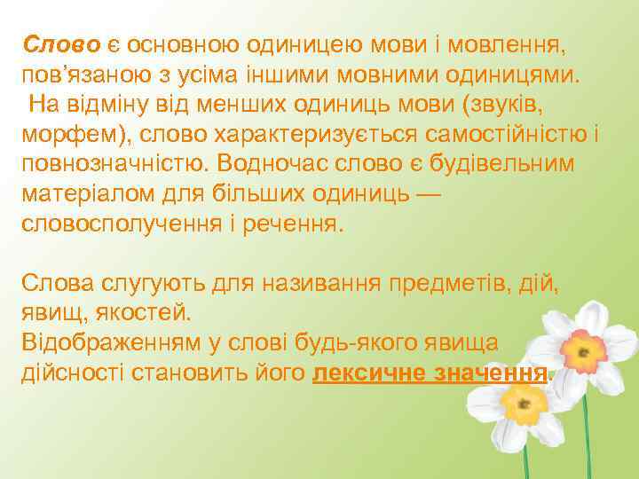 Слово є основною одиницею мови і мовлення, пов’язаною з усіма іншими мовними одиницями. На