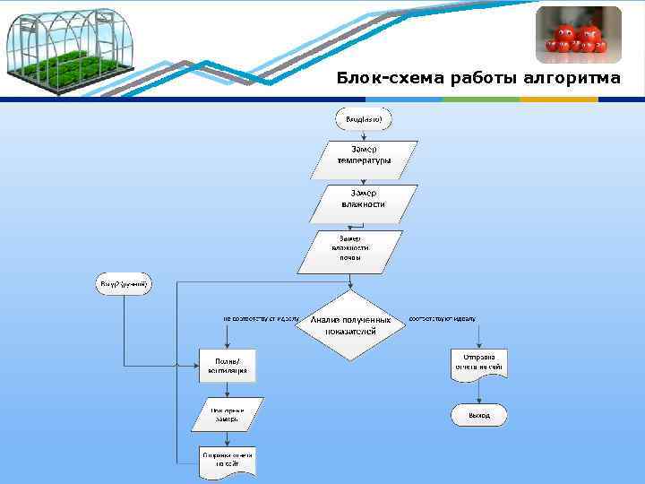 Блок-схема работы алгоритма 