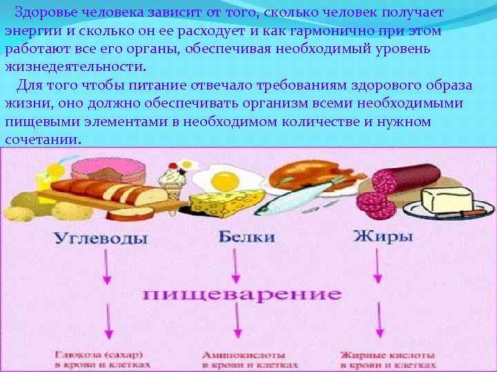 Здоровье человека зависит от того, сколько человек получает энергии и сколько он ее расходует