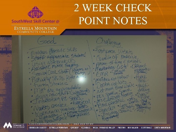 2 WEEK CHECK POINT NOTES 