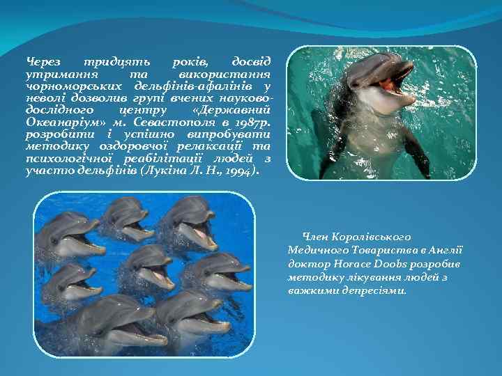 Через тридцять років, досвід утримання та використання чорноморських дельфінів-афалінів у неволі дозволив групі вчених