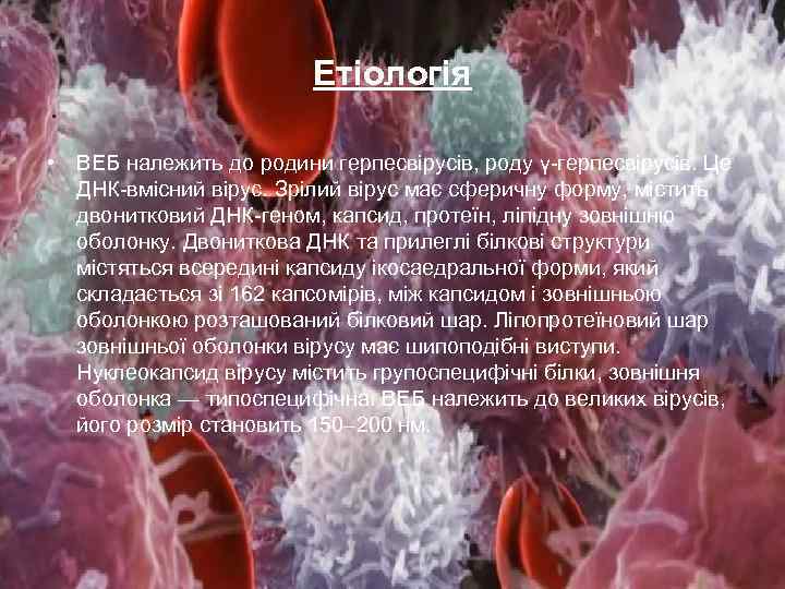 Етіологія • ВЕБ належить до родини герпесвірусів, роду γ-герпесвірусів. Це ДНК-вмісний вірус. Зрілий вірус