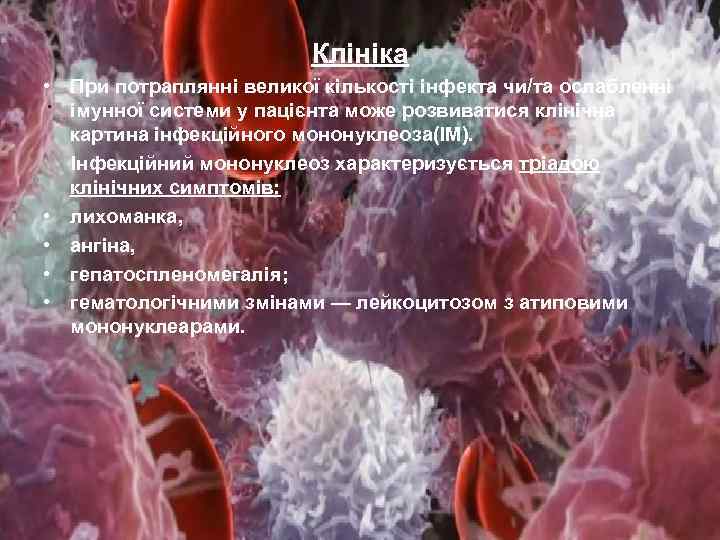 Клініка • При потраплянні великої кількості інфекта чи/та ослабленні імунної системи у пацієнта може
